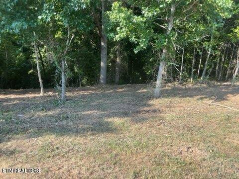 Rockwood, TN 37854,204206208 Majestic View Drive