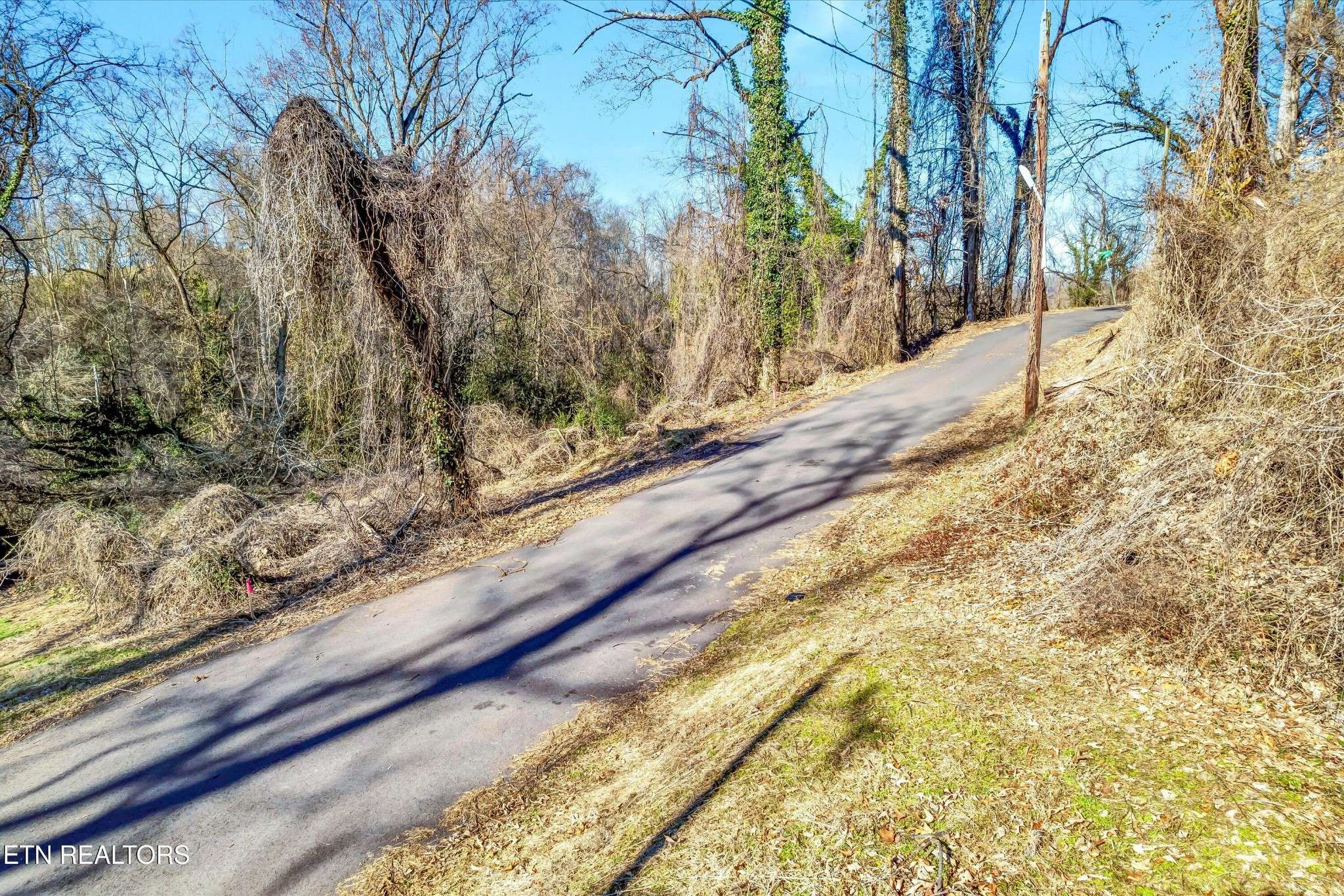 Knoxville, TN 37914,311 Bedford Ave