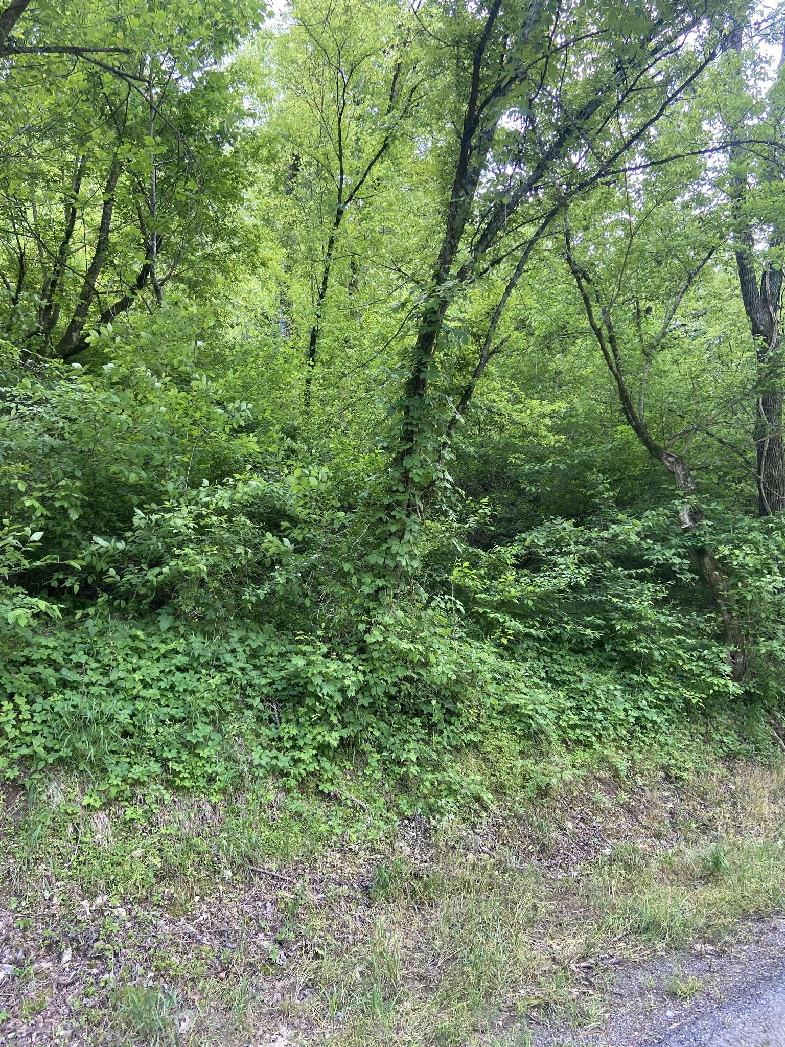 Shelbyville, TN 37160,0 Possum Trott Rd
