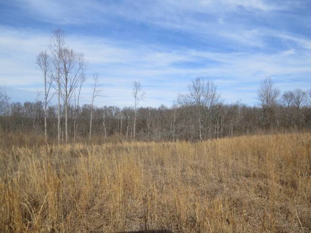 Lynnville, TN 38472,1074 Kersey Hollow Rd