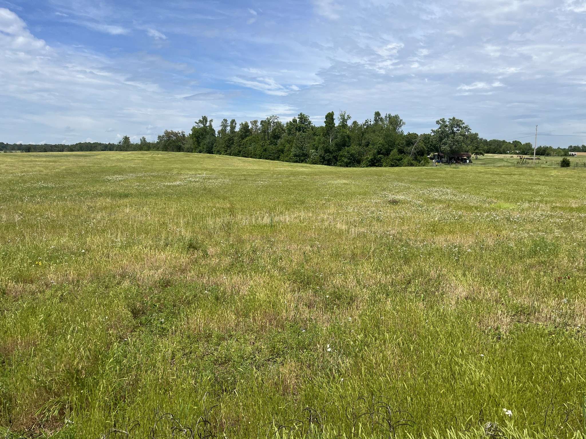 Morrison, TN 37357,0 Jacksboro Trail
