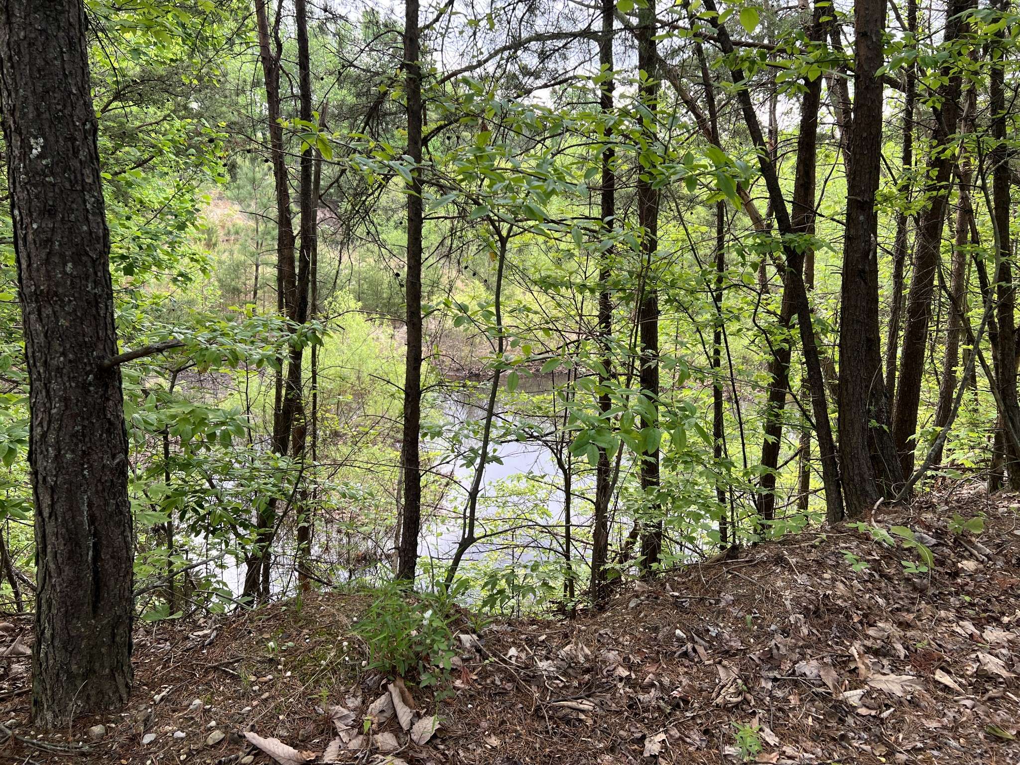 Cookeville, TN 38506,9550 Rocky Point Rd