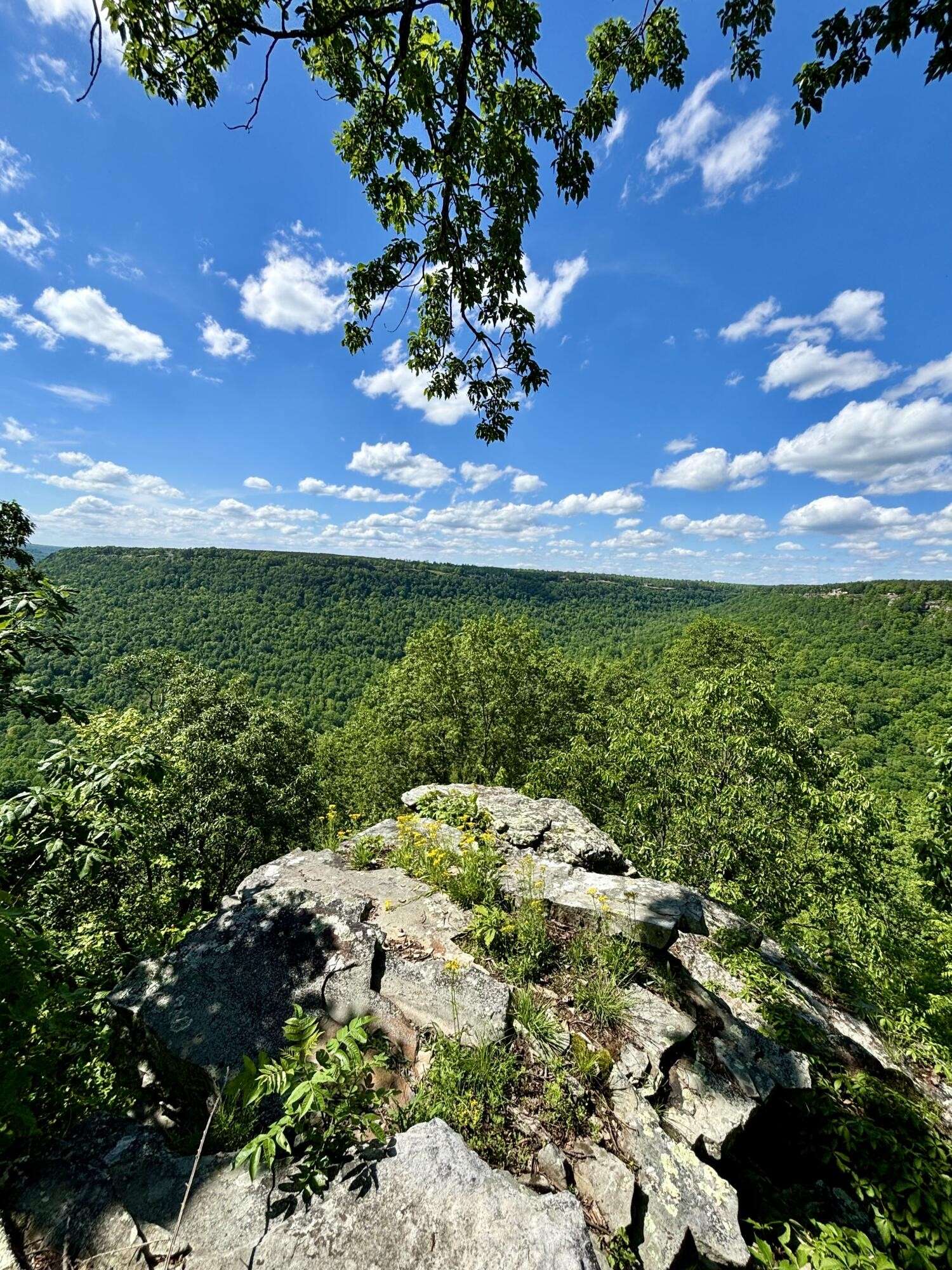 Jasper, TN 37347,615 Cumberland Circle