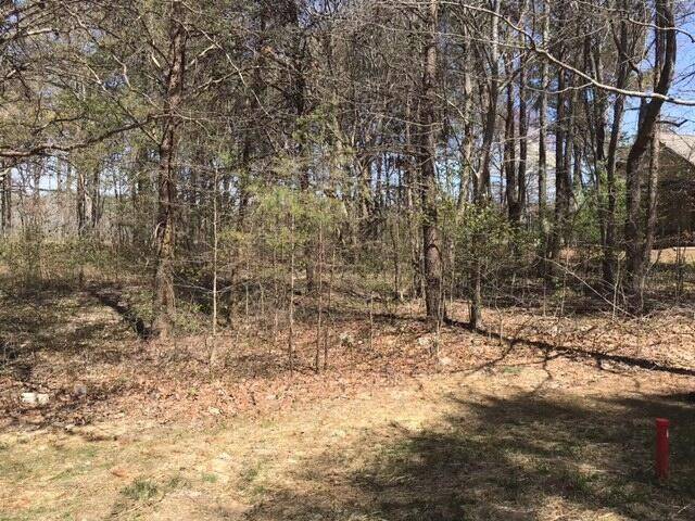 Rising Fawn, GA 30738,0 Sunshine Tr