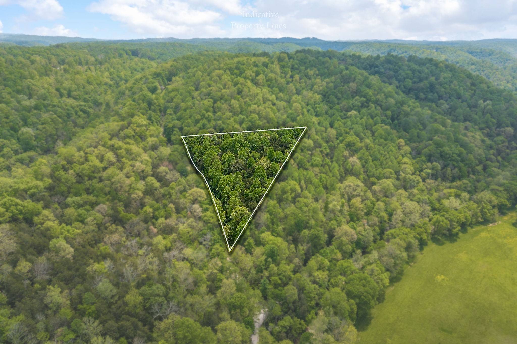 Hilham, TN 38568,0 Red Bud Ln TN