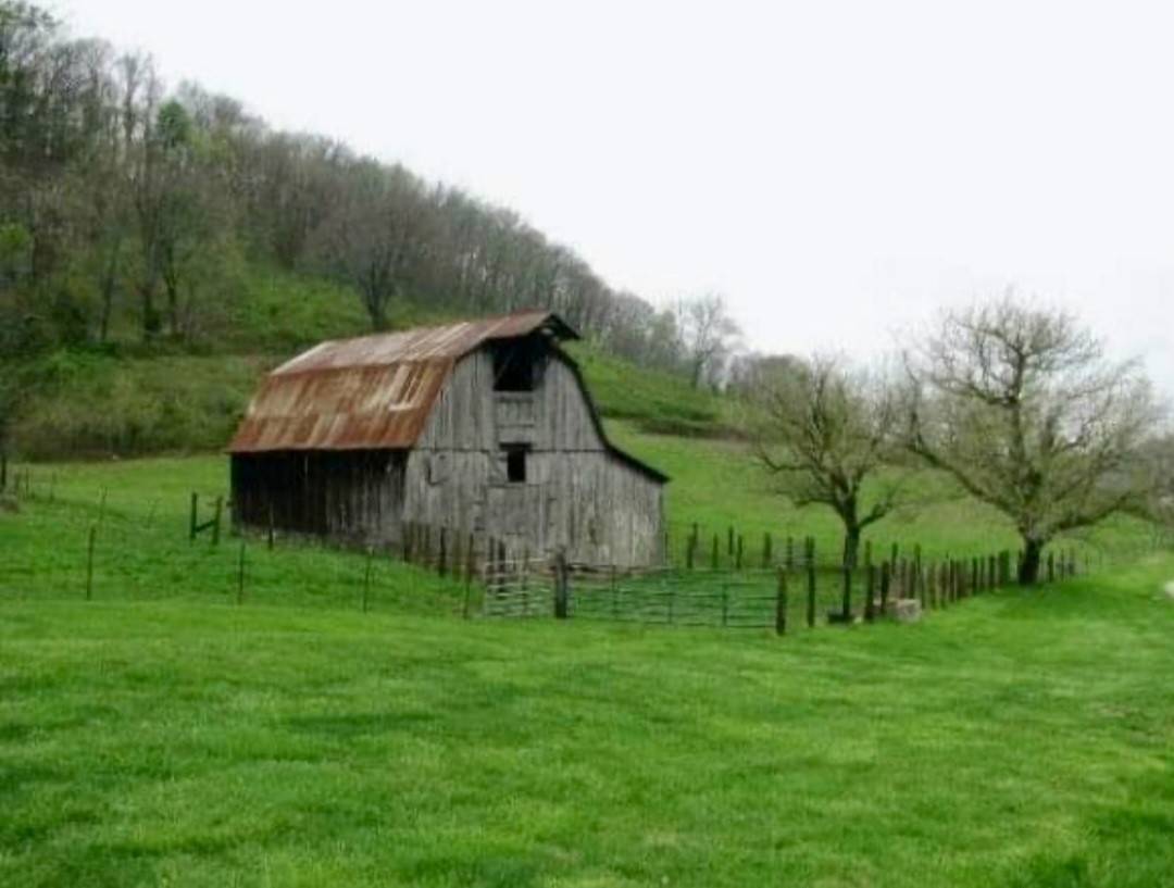Bell Buckle, TN 37020,199 Gilmore Ln