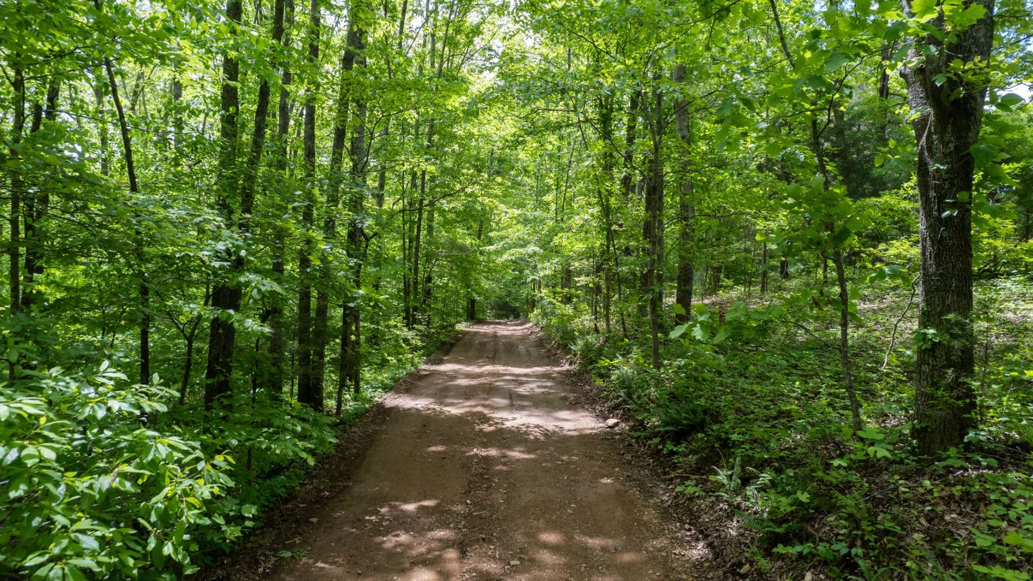 Fairview, TN 37062,7621 Fernvale Rd