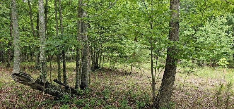 Dunlap, TN 37327,0 2 Lake Trl
