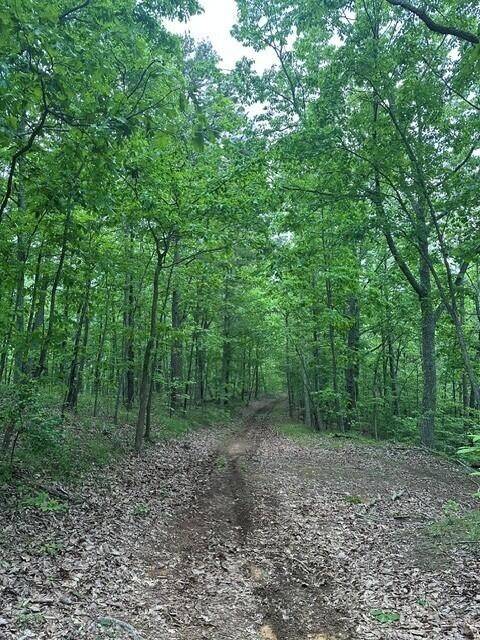South Pittsburg, TN 37380,3958 Hwy 156