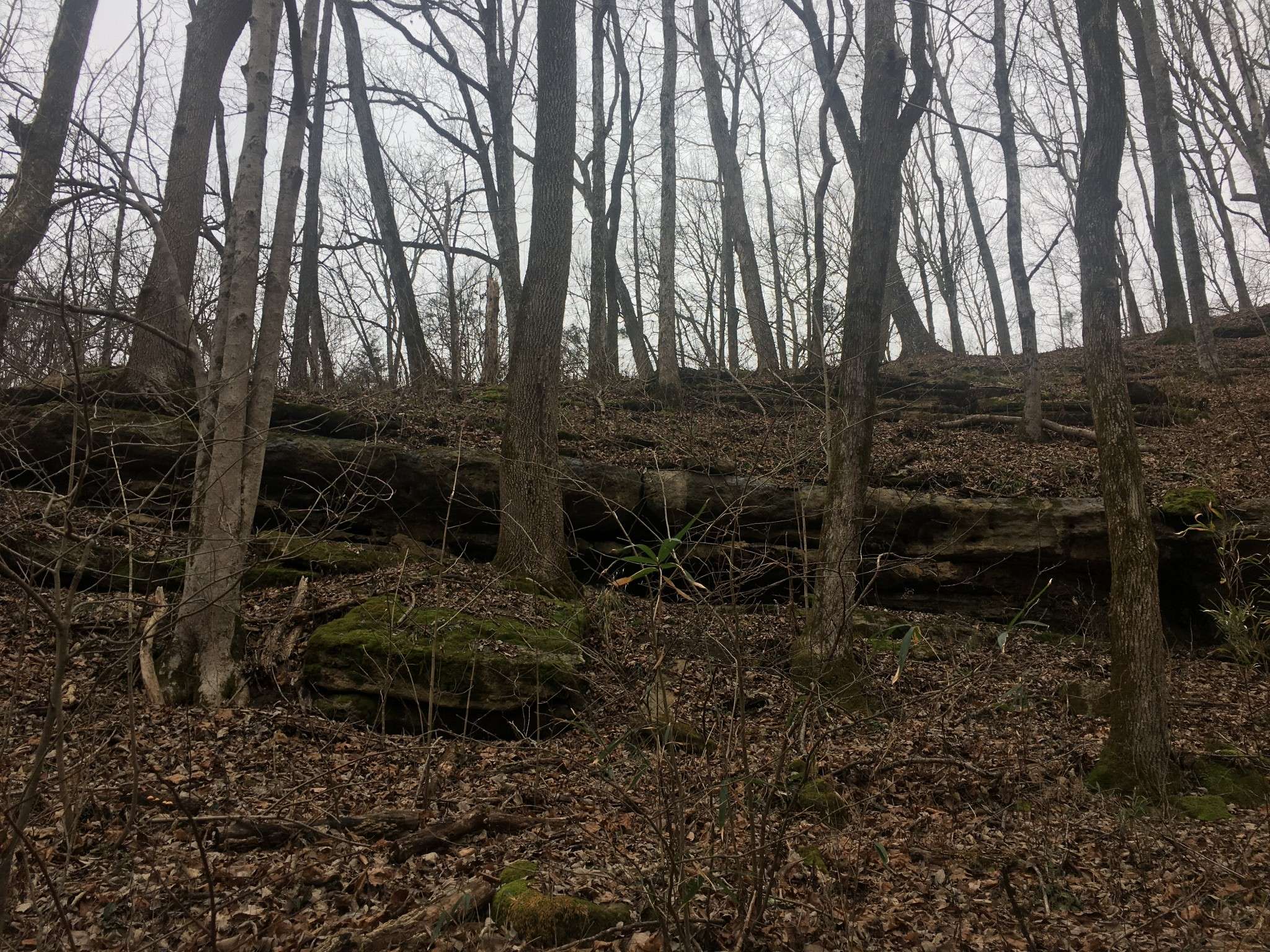 Smithville, TN 37166,0 Rutherford Lane