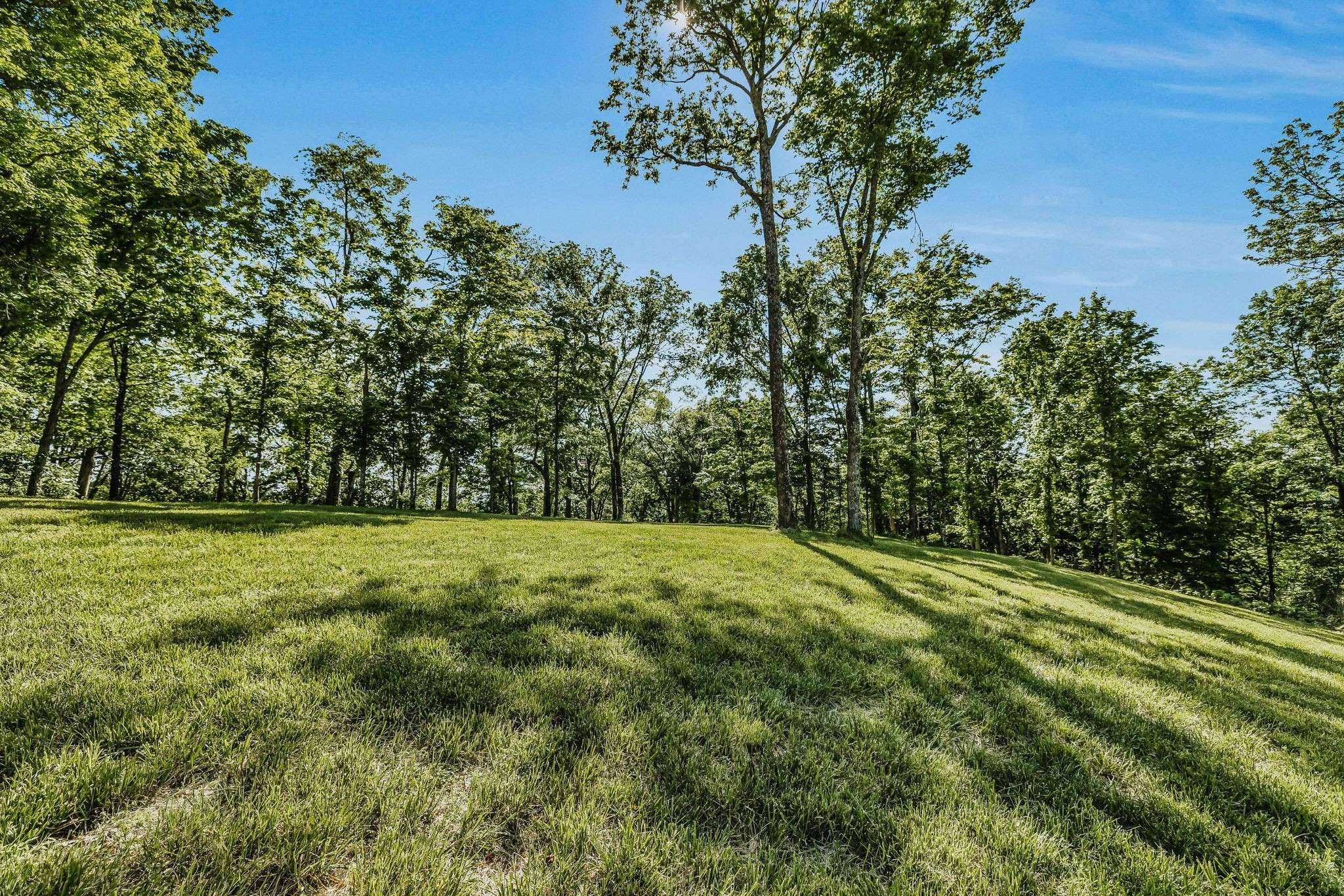 Nolensville, TN 37135,0 Burke Hollow Road Tract 1