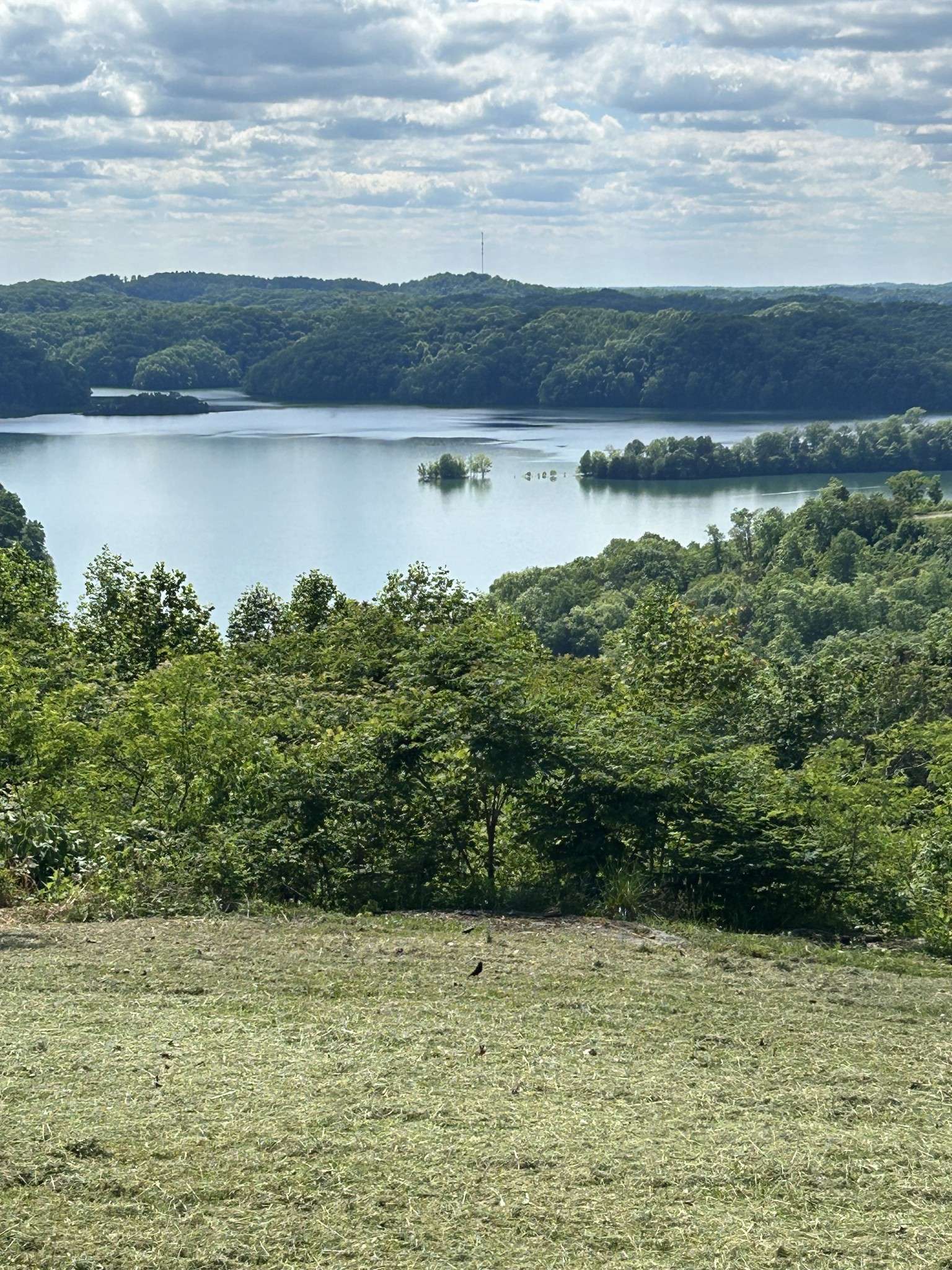 Hilham, TN 38568,38B Swan Ridge