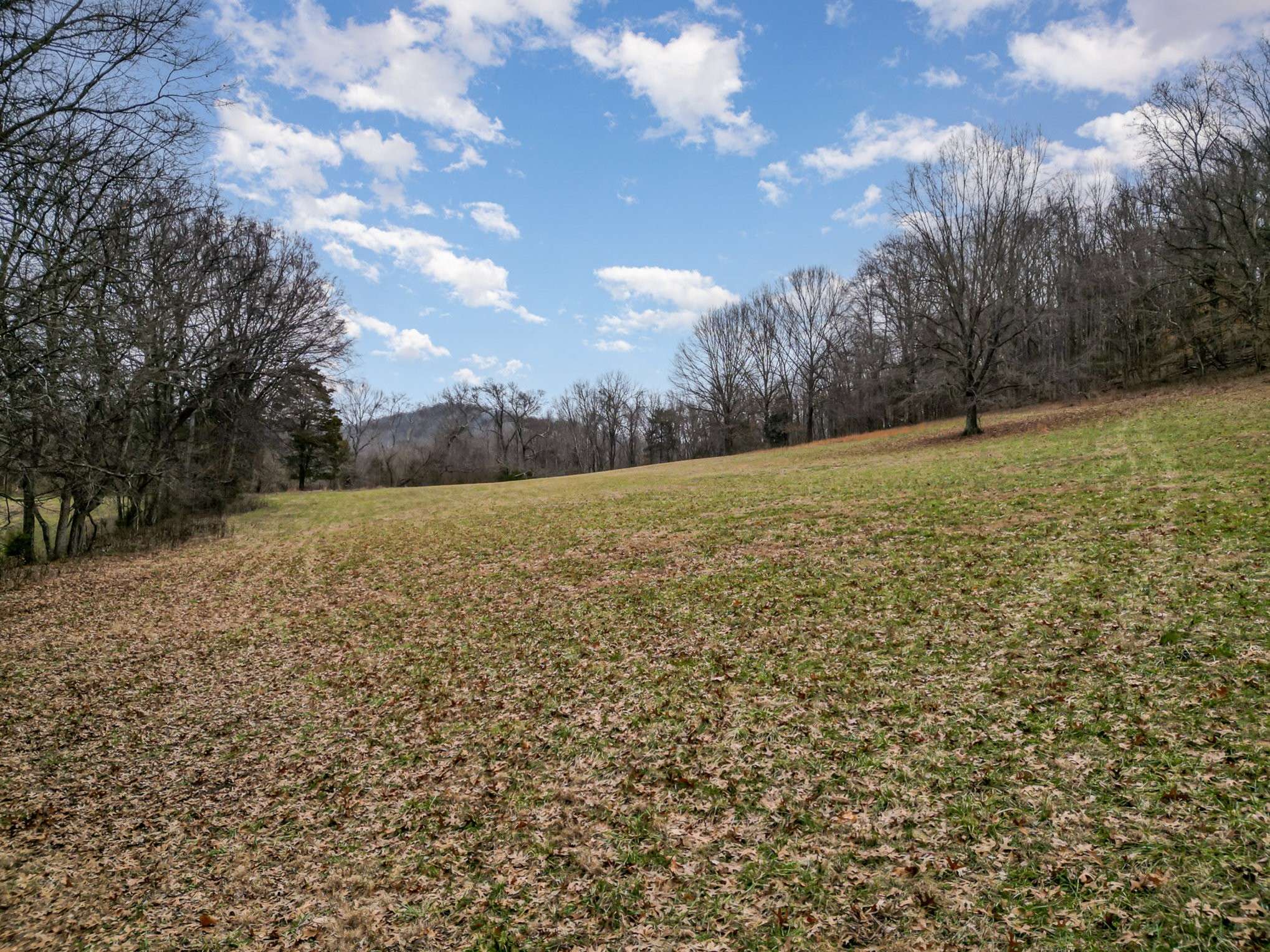 Franklin, TN 37064,4511 Harpeth School Rd