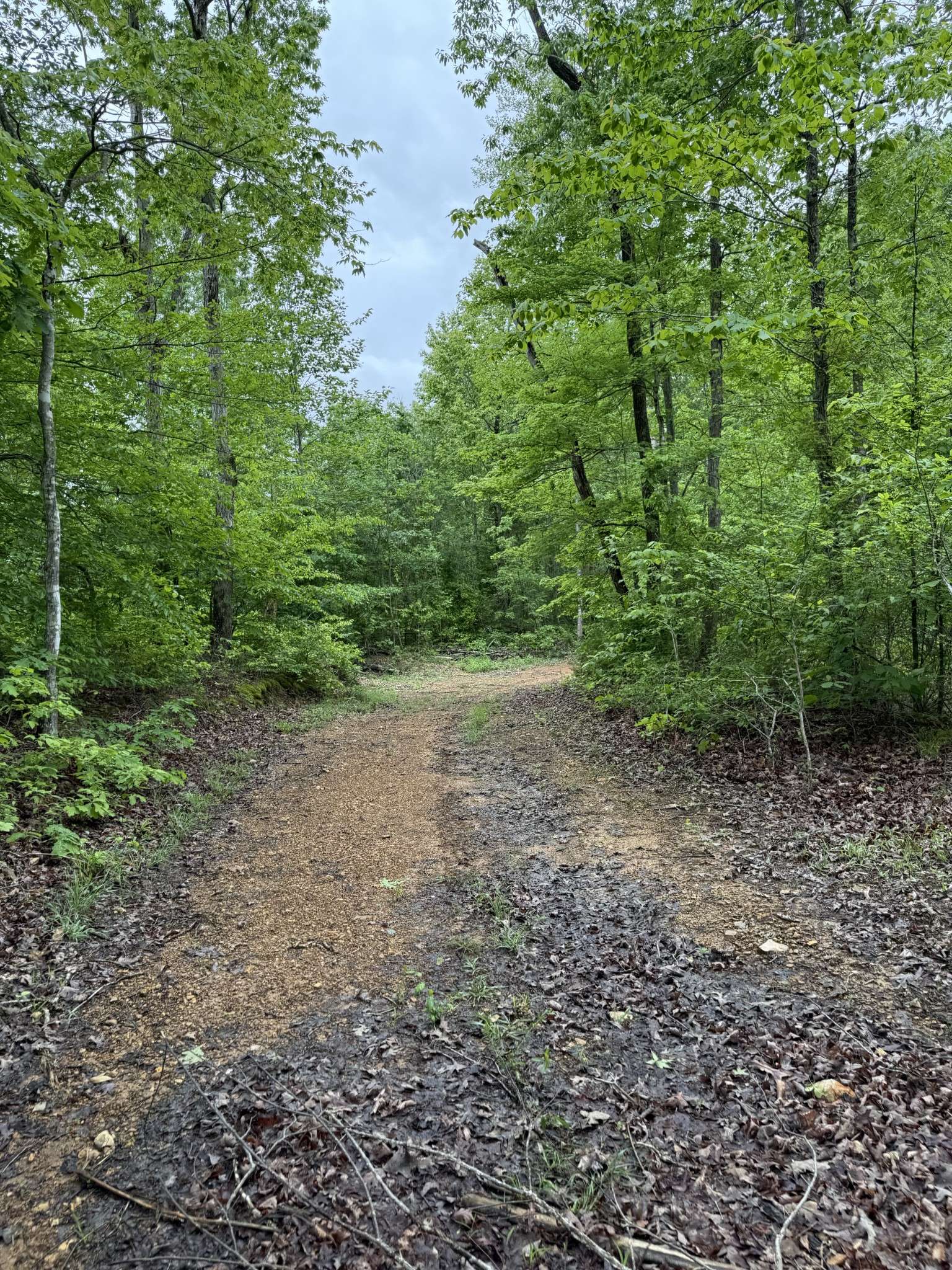 Waverly, TN 37185,0 Turkey Creek Road