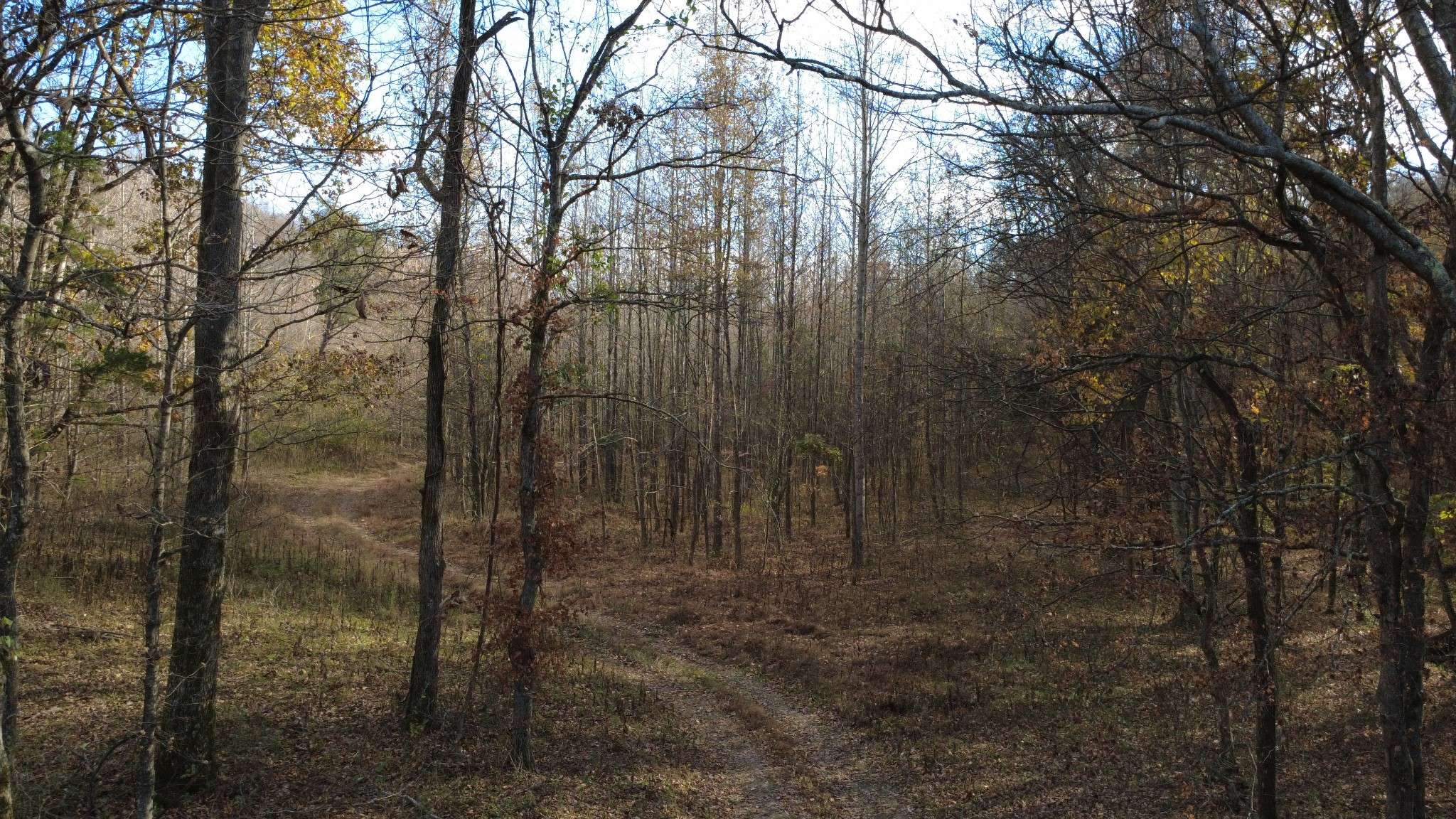 Waverly, TN 37185,0 Turkey Creek Road