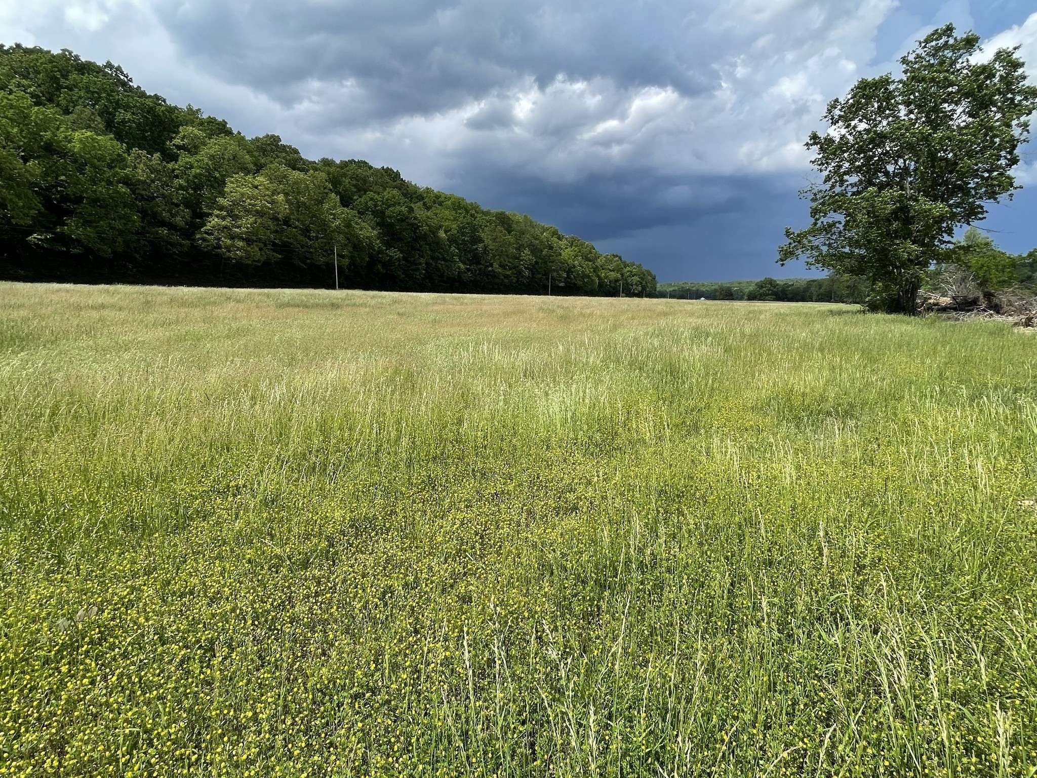 Dickson, TN 37055,0 Gilliam Hollow Road