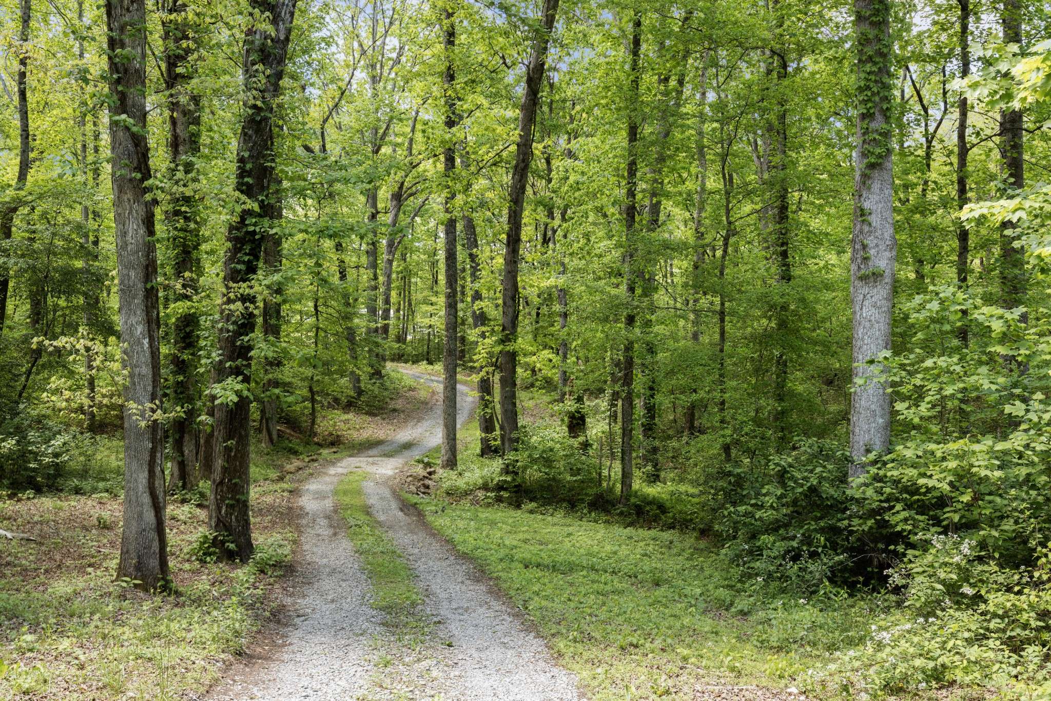 Signal Mountain, TN 37377,201 County Line Road