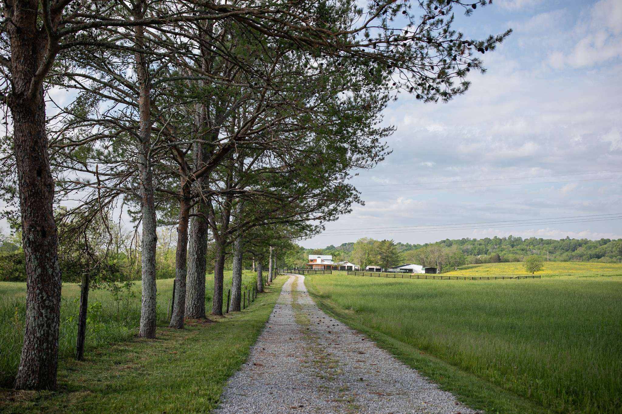 Williamsport, TN 38487,4824 Leipers Creek Road