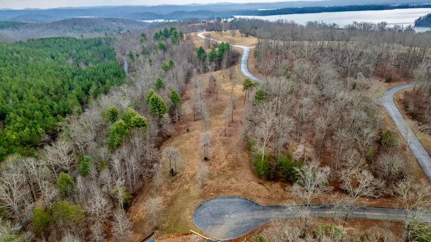 Spring City, TN 37381,156 Smoke Rise Cove