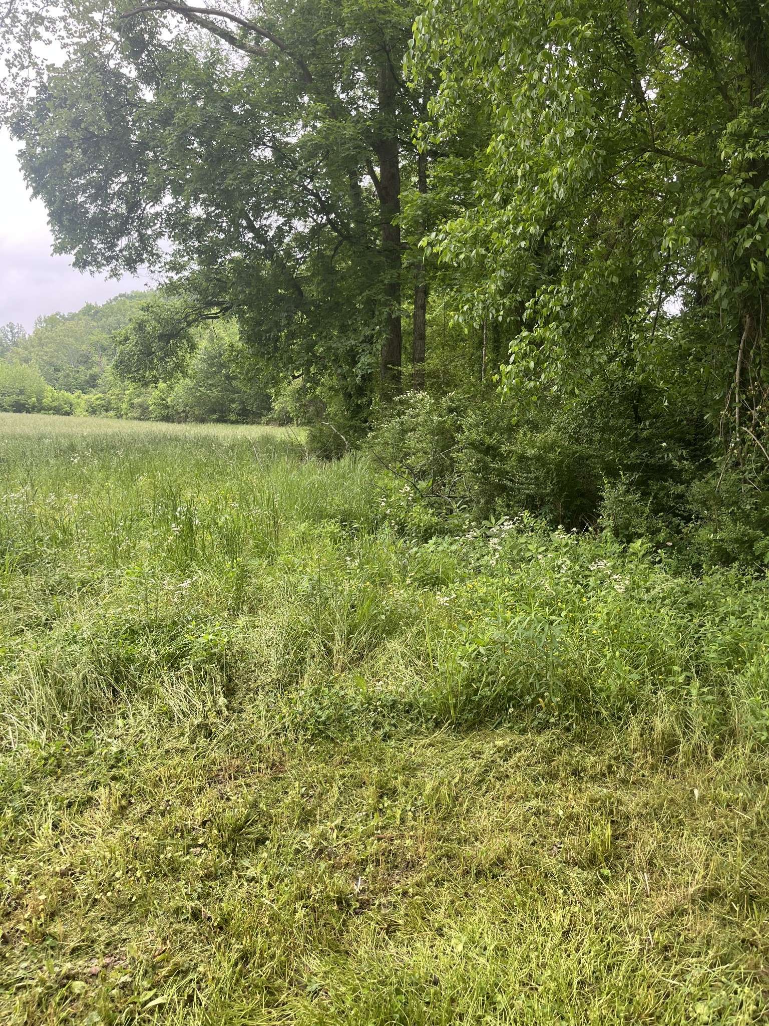 Nashville, TN 37221,1 Hester Beasley Rd