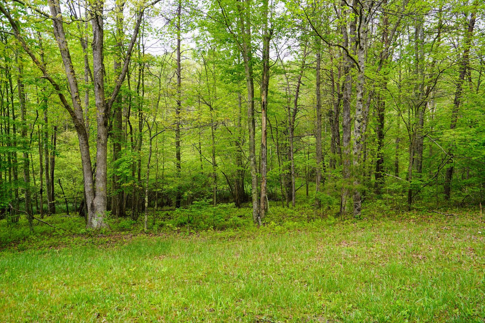 Monterey, TN 38574,0 Glade place