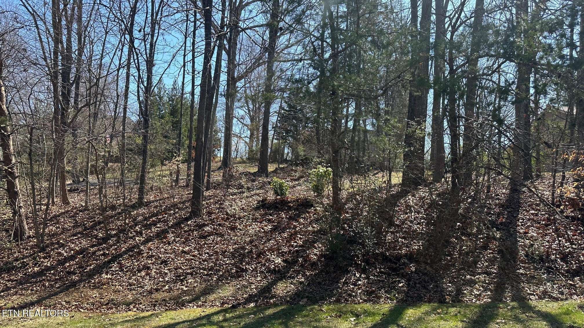 Greenback, TN 37742,129 Timberlake Drive
