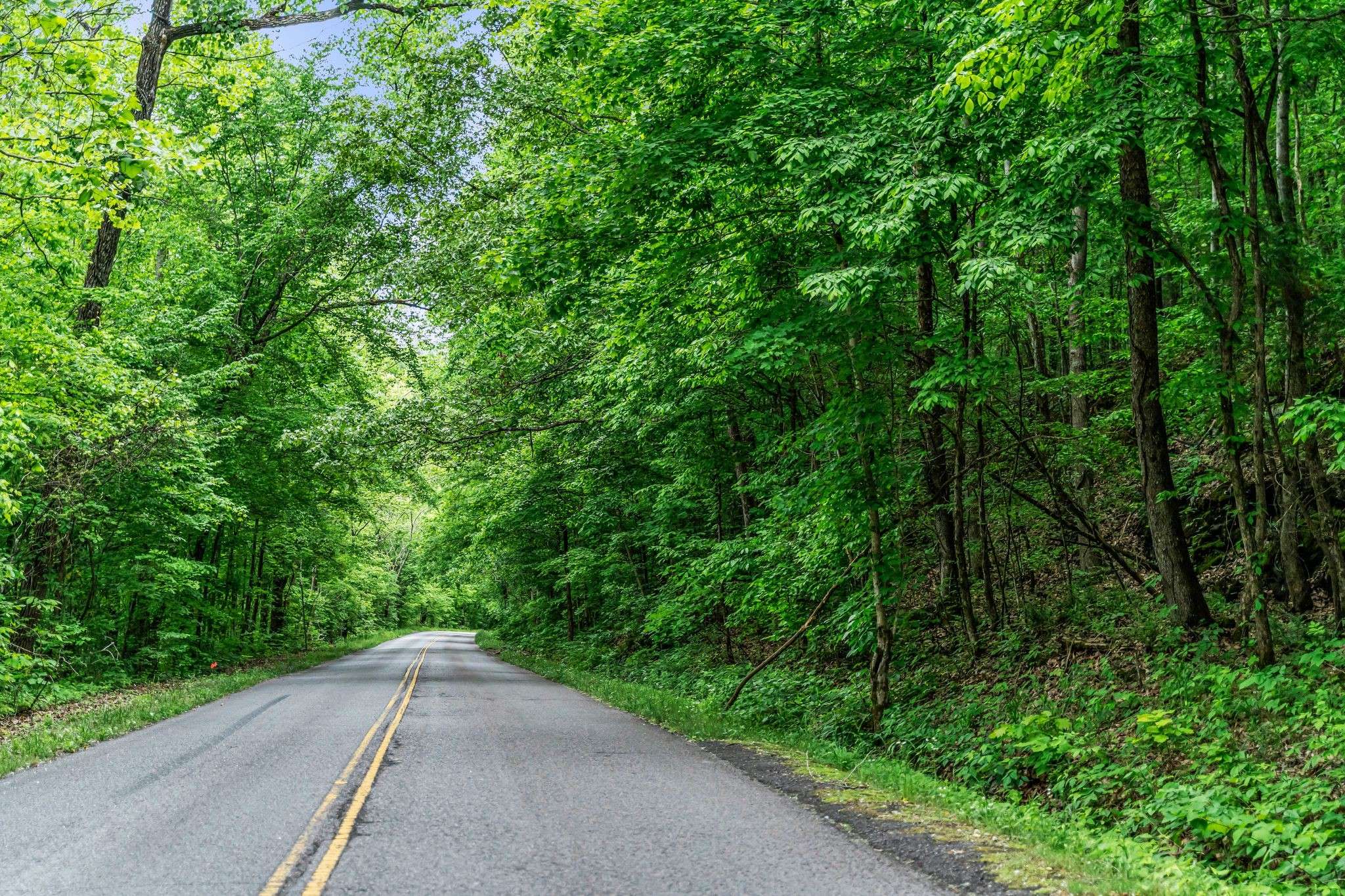 Joelton, TN 37080,0 Higdon