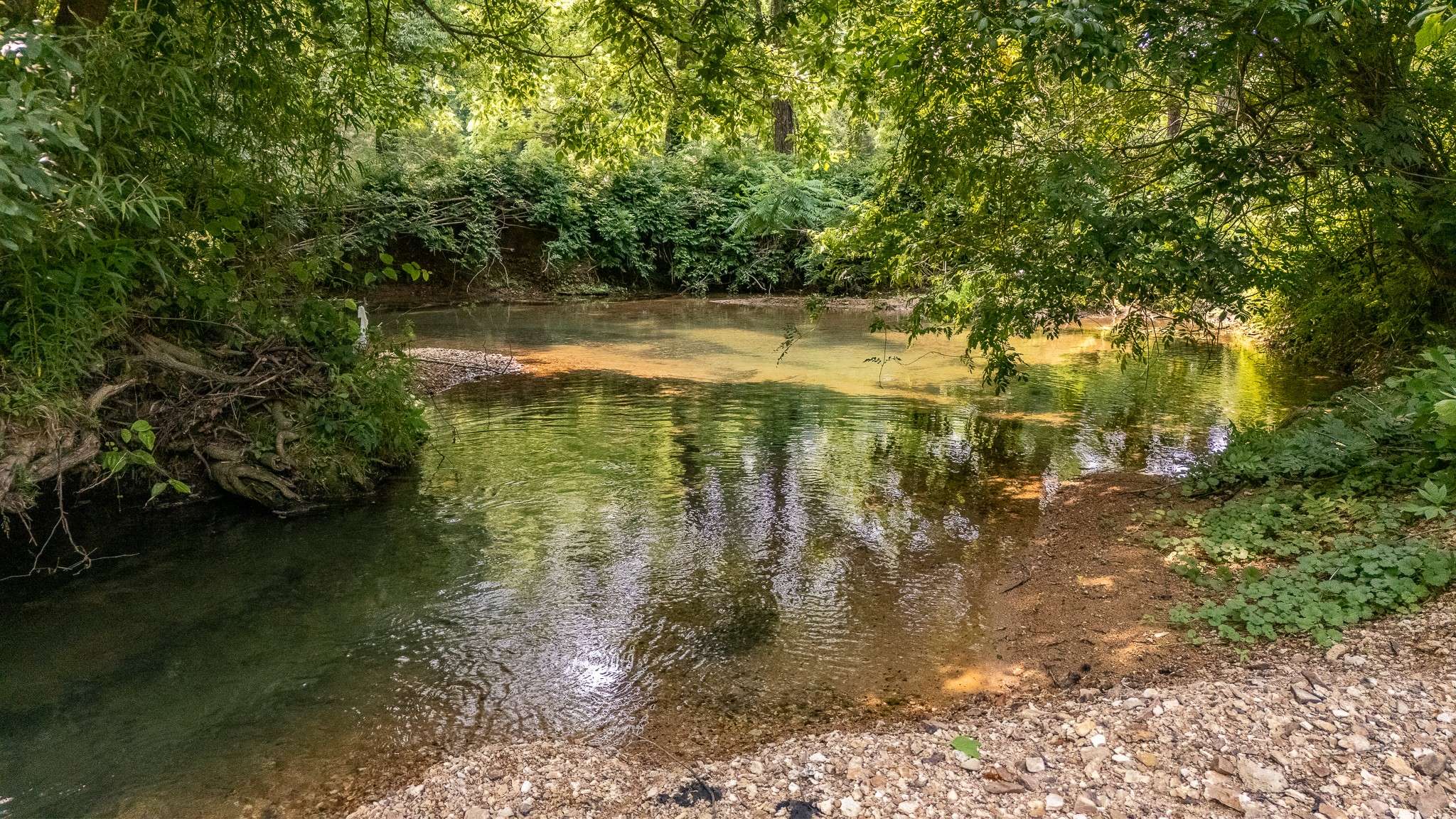Ethridge, TN 38456,0 Waterfork Road