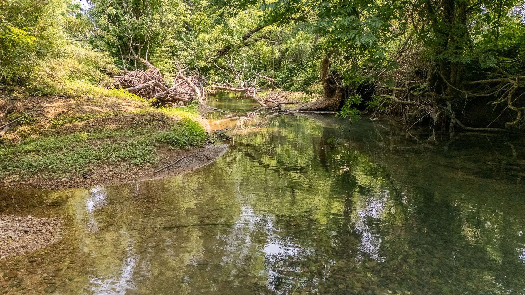 Ethridge, TN 38456,0 Waterfork Road