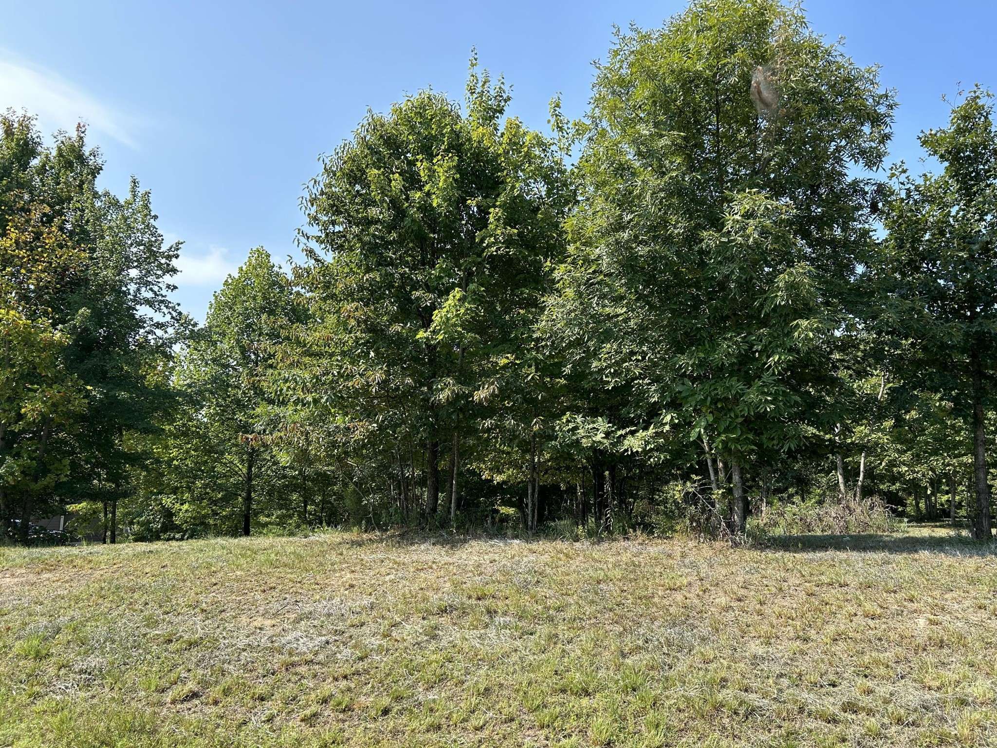 Jasper, TN 37347,245 Lookout View Drive