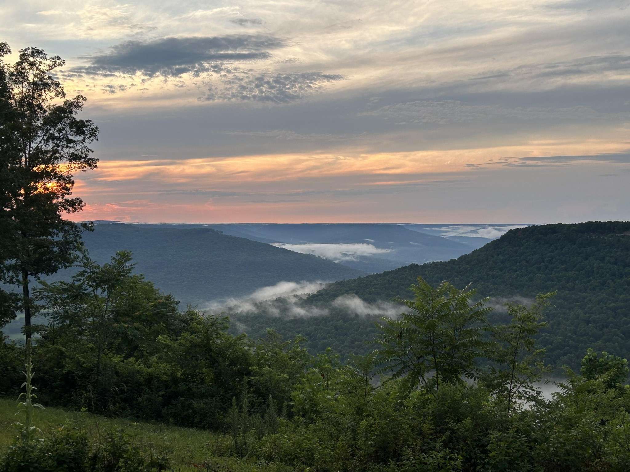 Jasper, TN 37347,725 Sunset Circle
