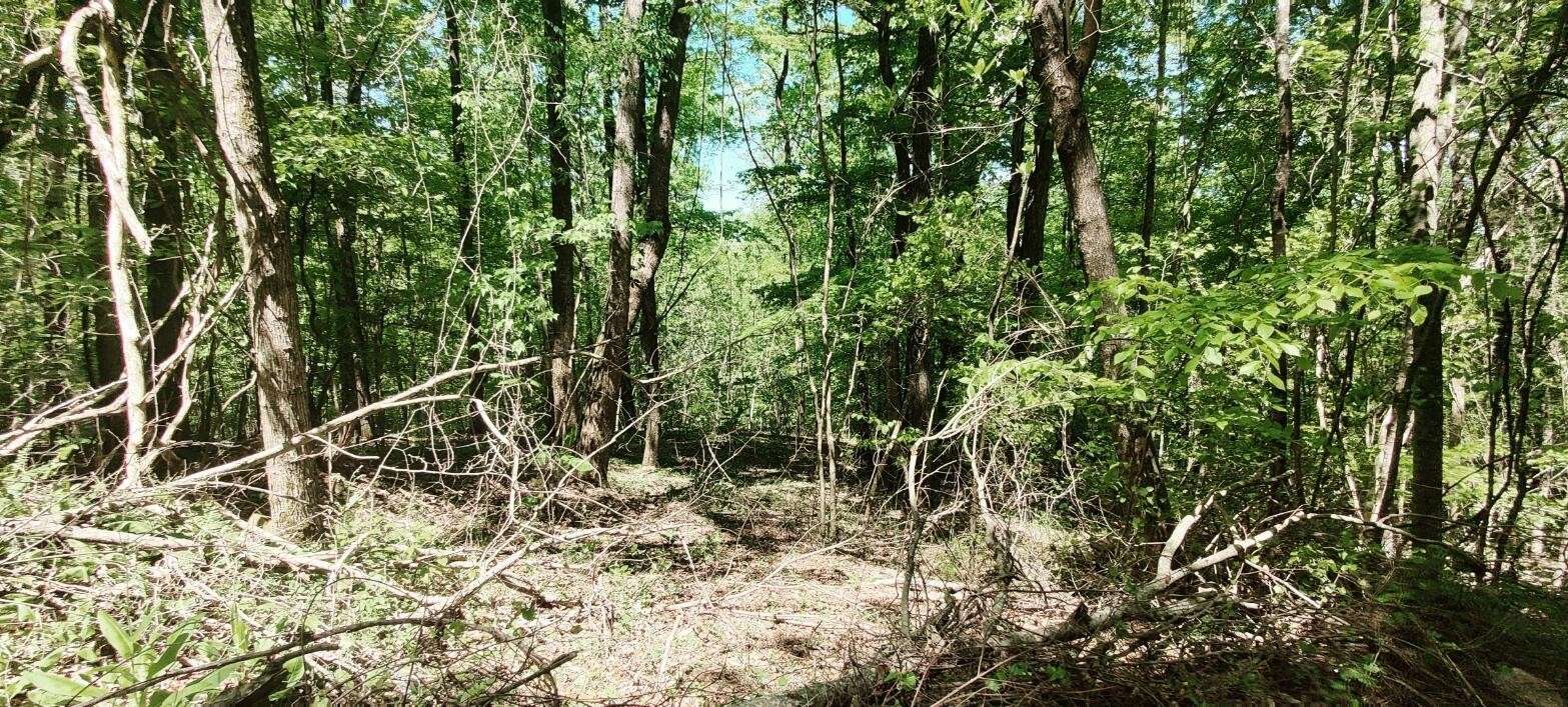 South Pittsburg, TN 37380,0 Coburntown (Lot 13) Road