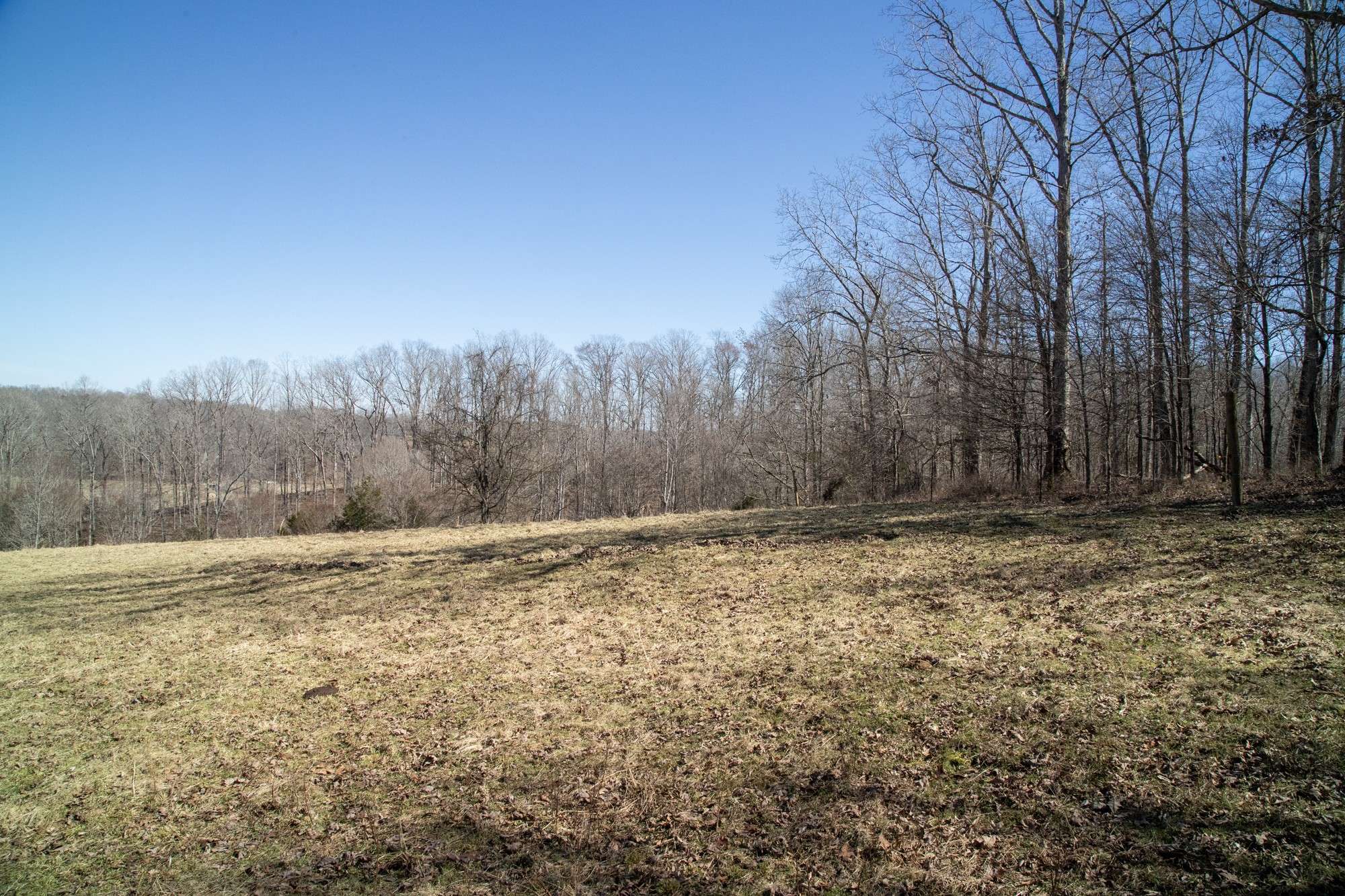 Nunnelly, TN 37137,0 S Possum Hollow Road Tract 7