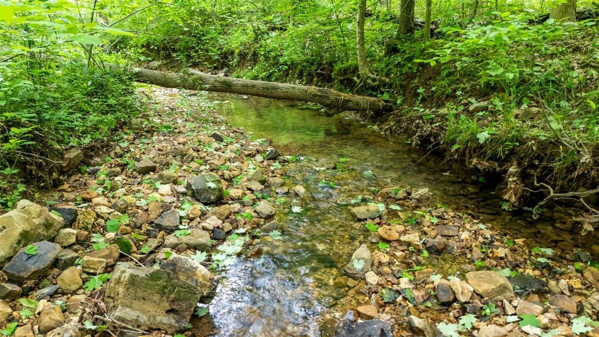 Mc Ewen, TN 37101,3571 Old Blacktop Rd