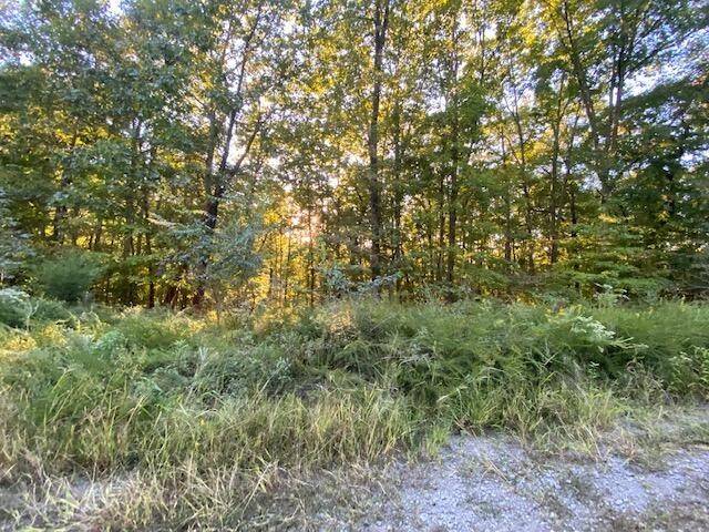 South Pittsburg, TN 37380,4813 Teludachee Trail