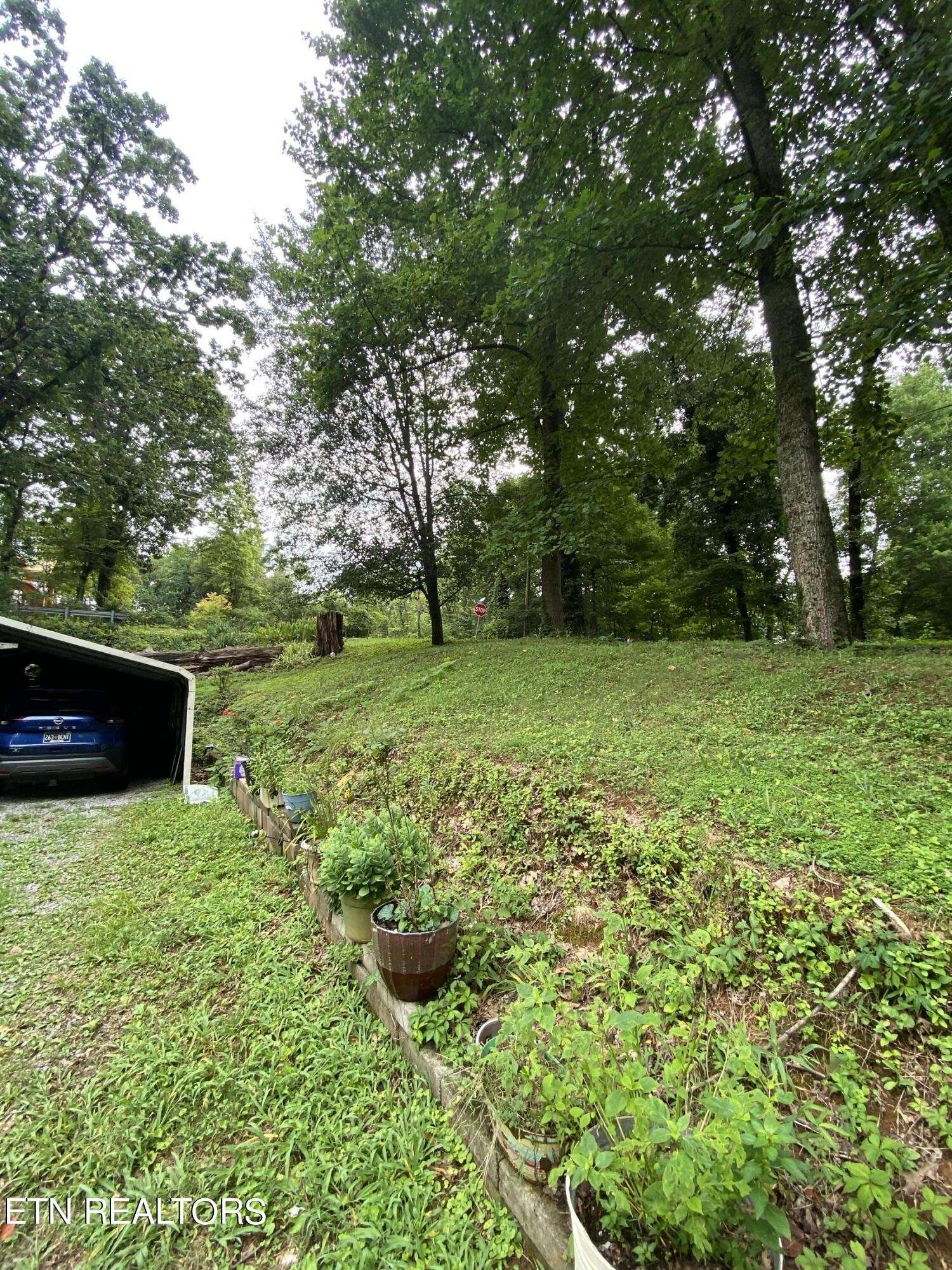 Knoxville, TN 37920,1103 Army St