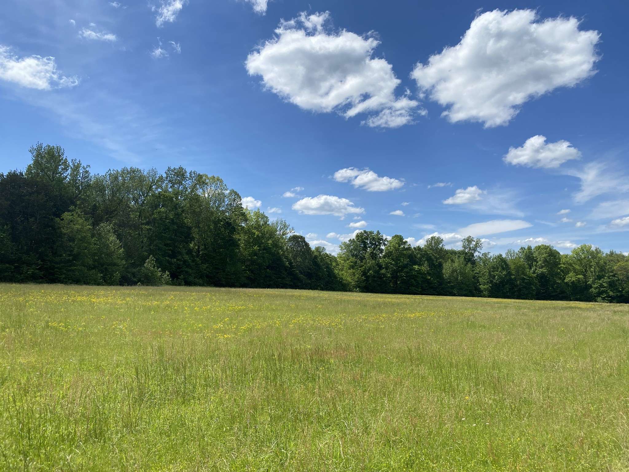 Linden, TN 37096,0 Lick Creek Rd