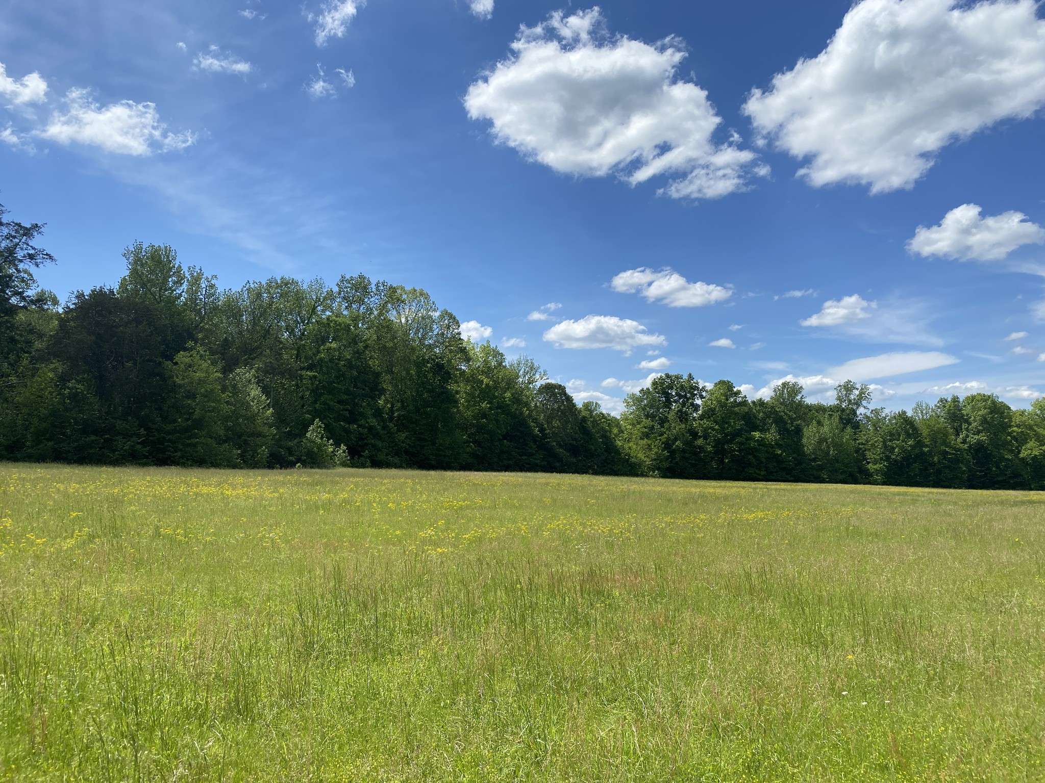 Linden, TN 37096,0 Lick Creek Rd