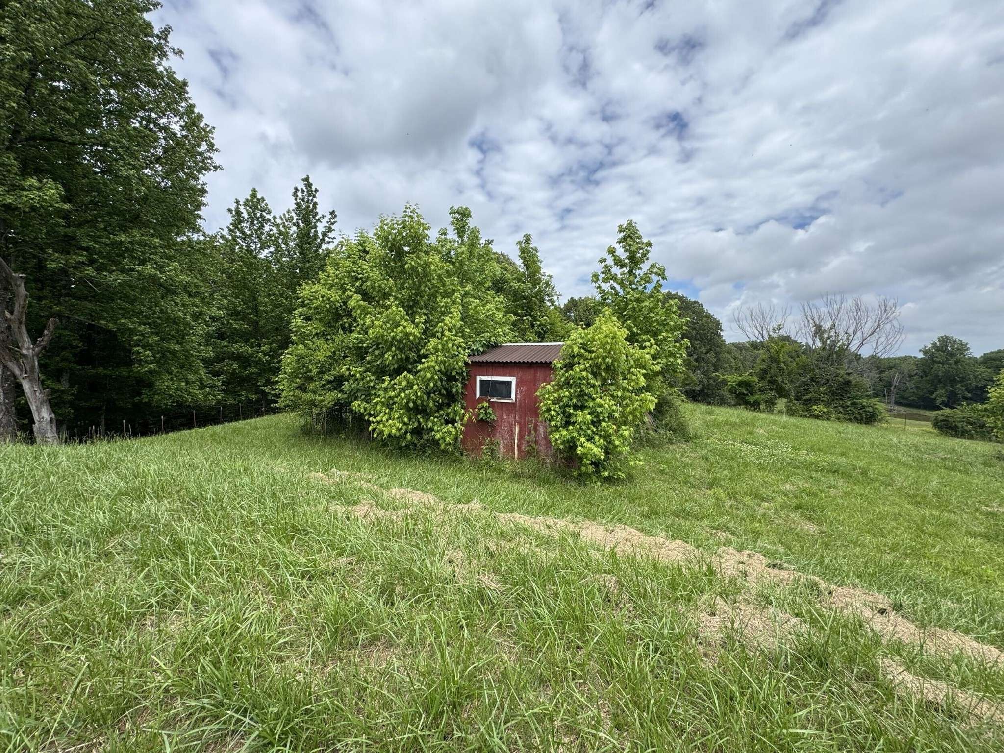 Newbern, TN 38059,120 Red Bell Rd