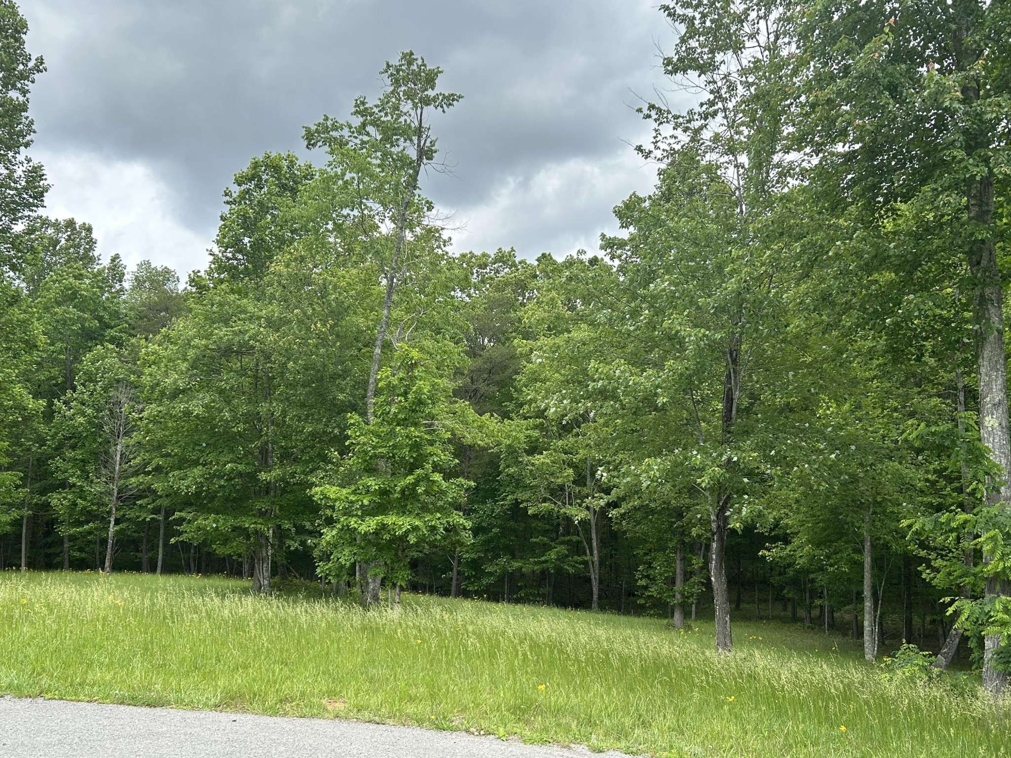 Jasper, TN 37347,284 Jasper Creek Court