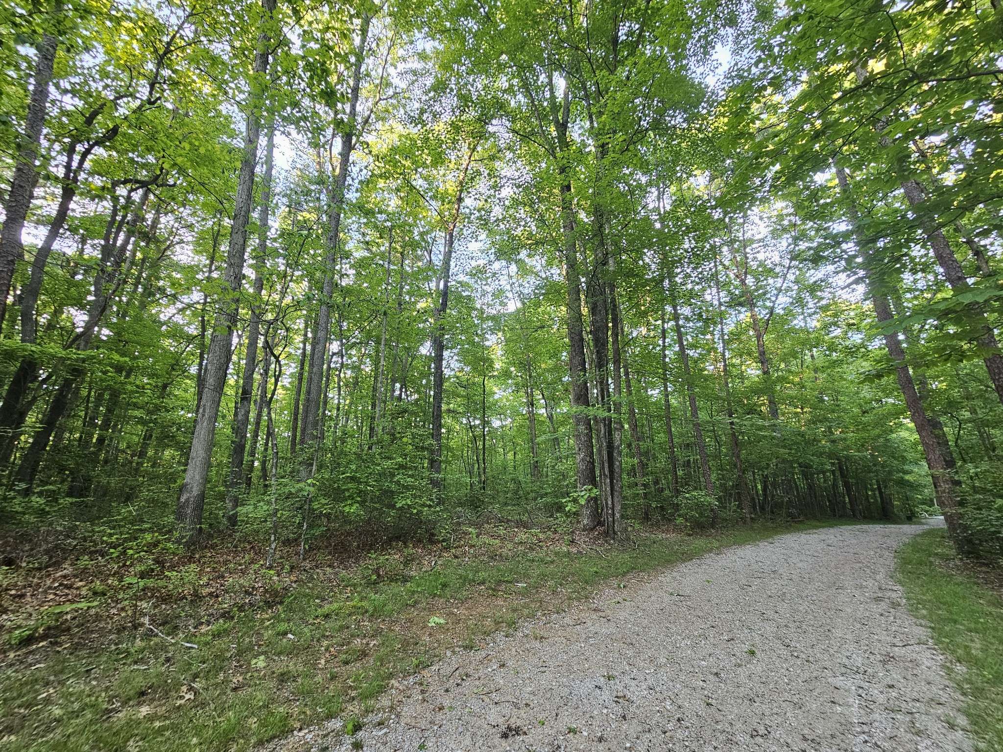 Coalmont, TN 37313,3 Woodfern Ln