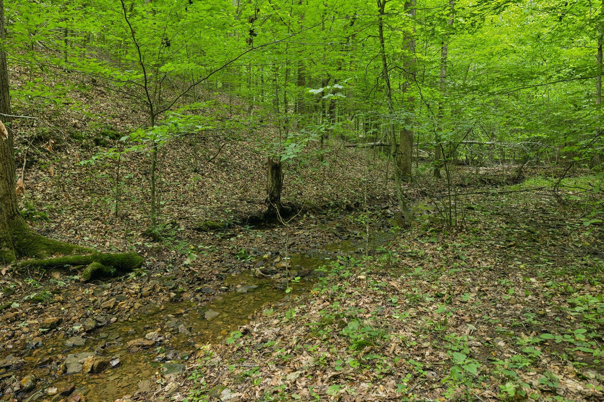 Ashland City, TN 37015,1020 Owen Ct