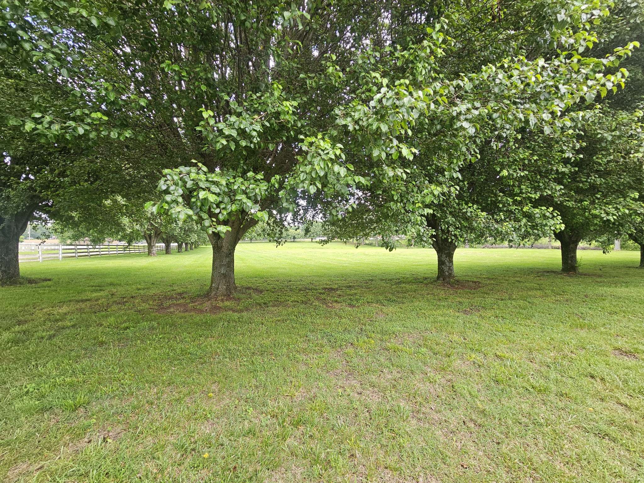 Winchester, TN 37398,101 Farris Rd