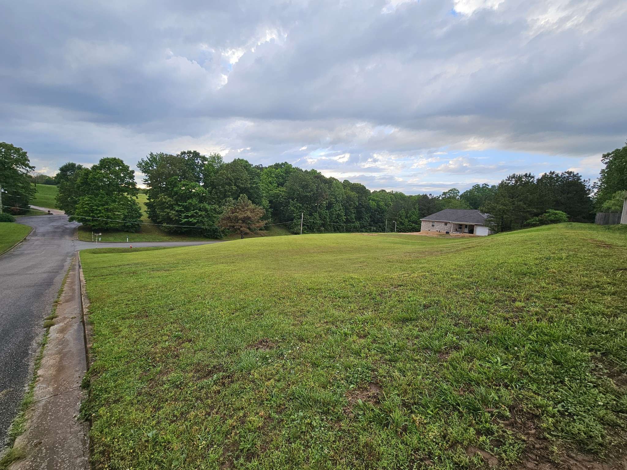 Lexington, TN 38351,0 Cardinal Estate Dr