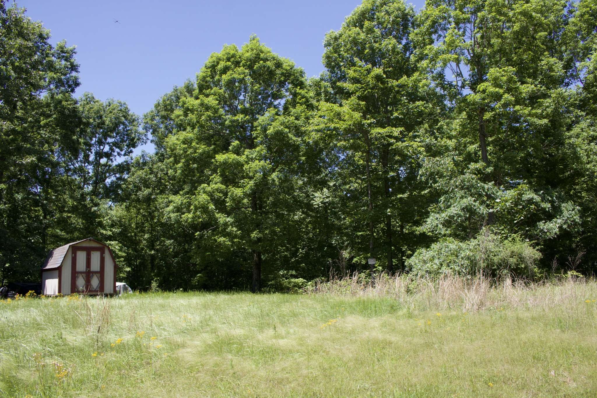 Mount Pleasant, TN 38474,156 Ellies Run