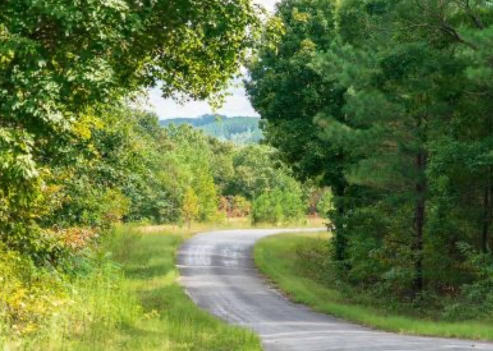 Linden, TN 37096,2533 Wedgewood Dr