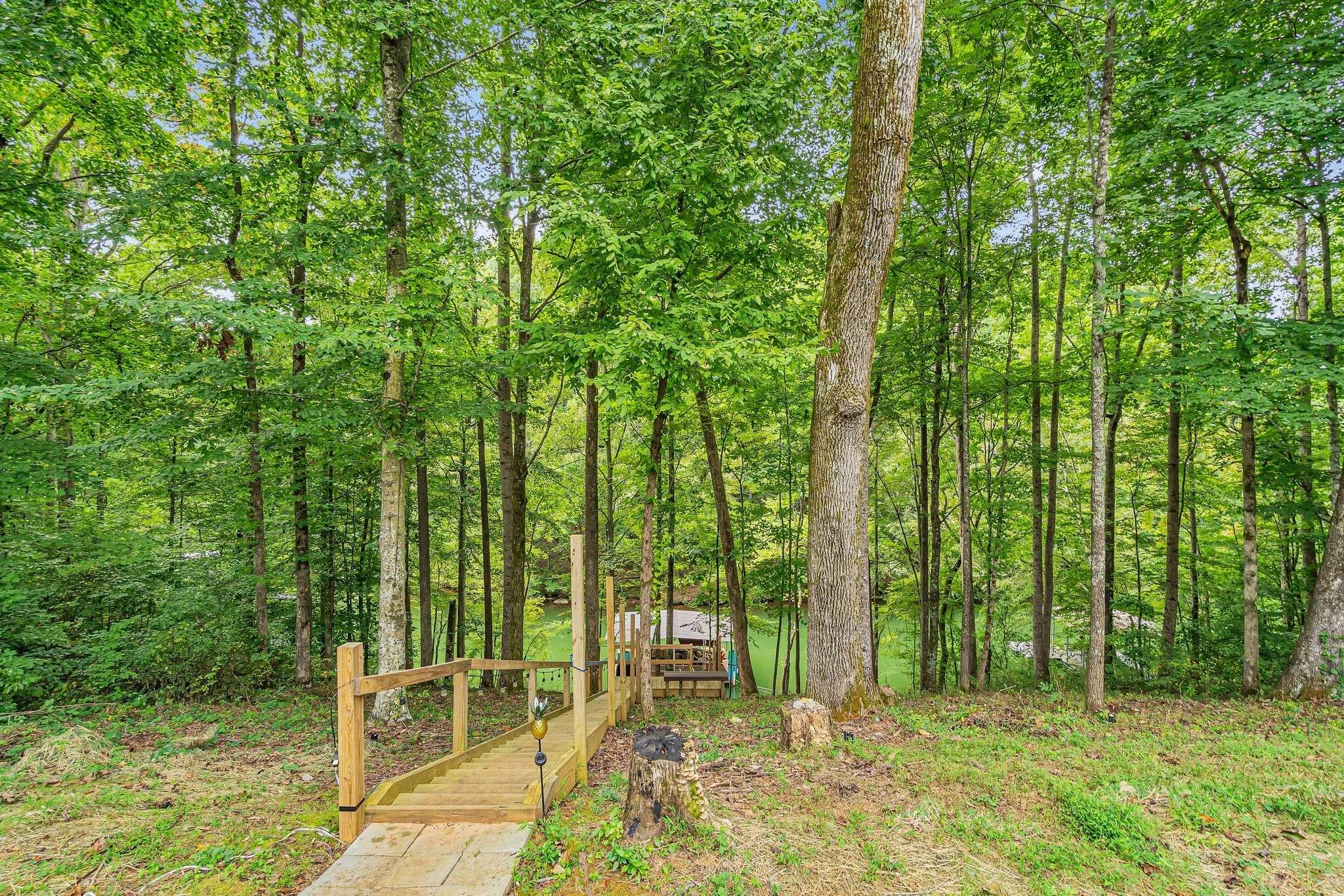 Winchester, TN 37398,467 Wildwood Trace