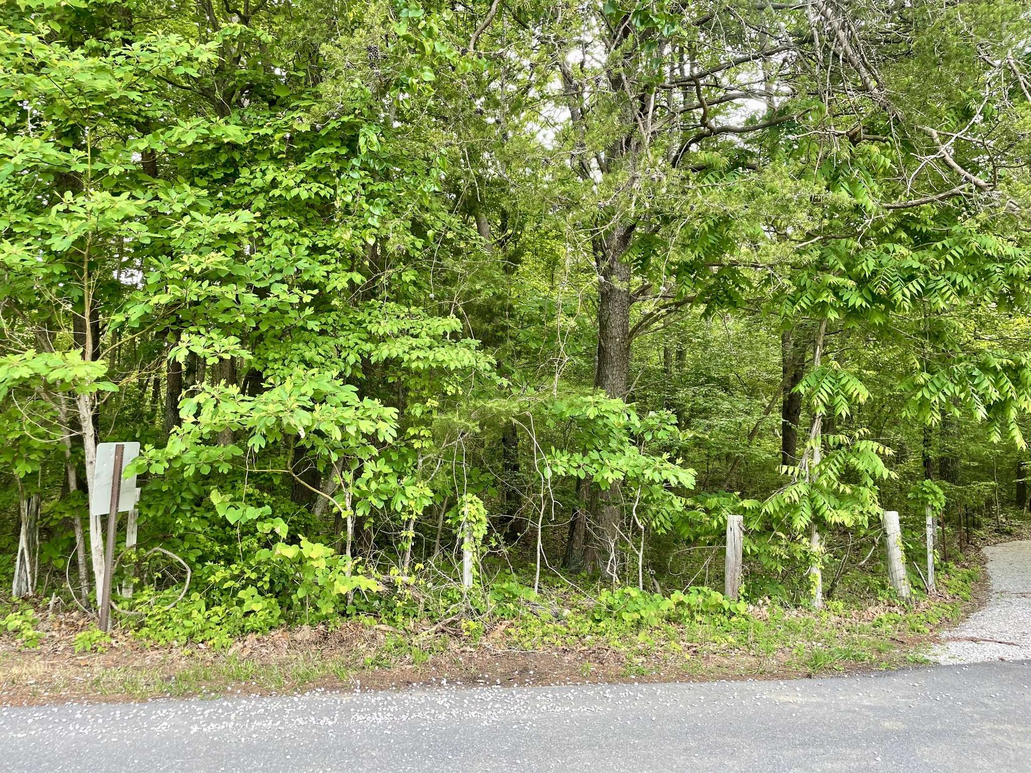 Sewanee, TN 37375,0 Jumpoff Mountain Road