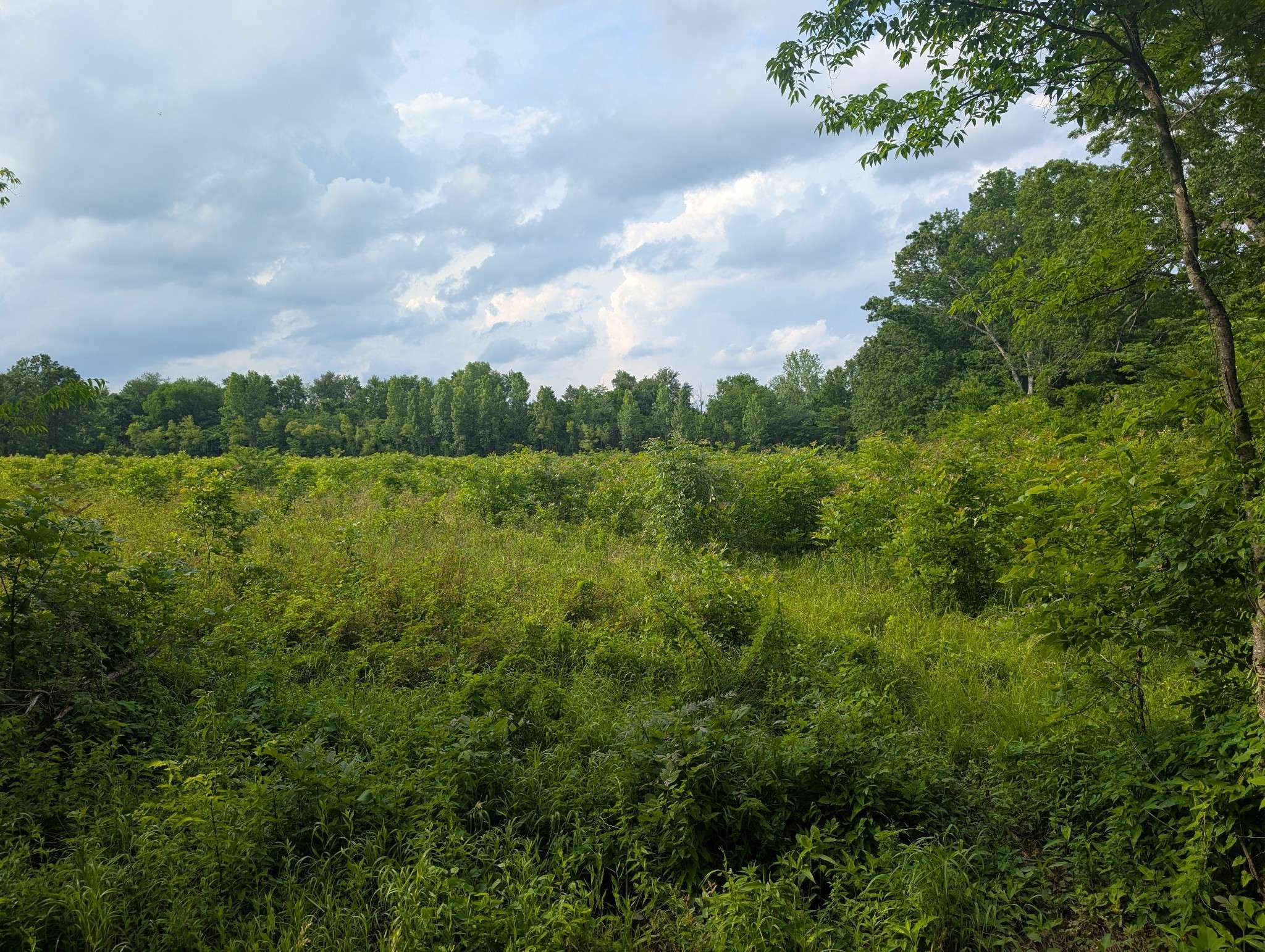 Bell Buckle, TN 37020,0 Sudberry Road