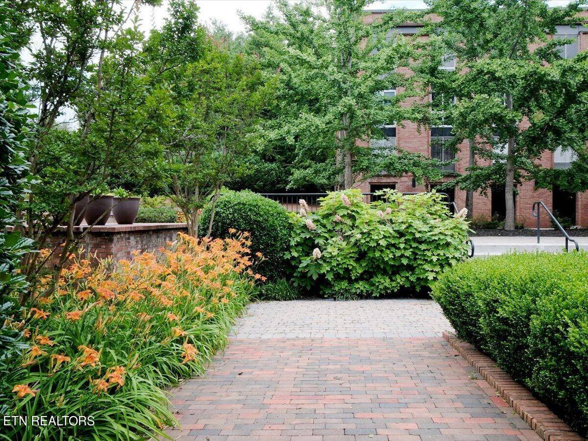 Knoxville, TN 37919,1400 Kenesaw Ave #11K
